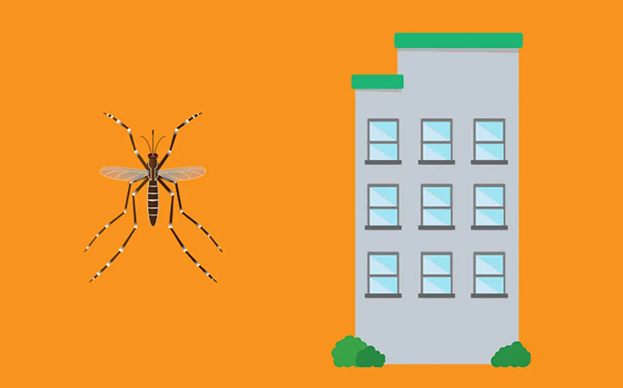 Illustrated image of a mosquito and a tall building side by side