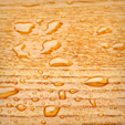 Pisos de madera sellados