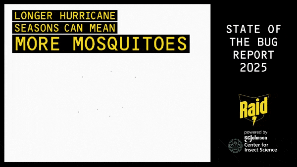 Mosquitos