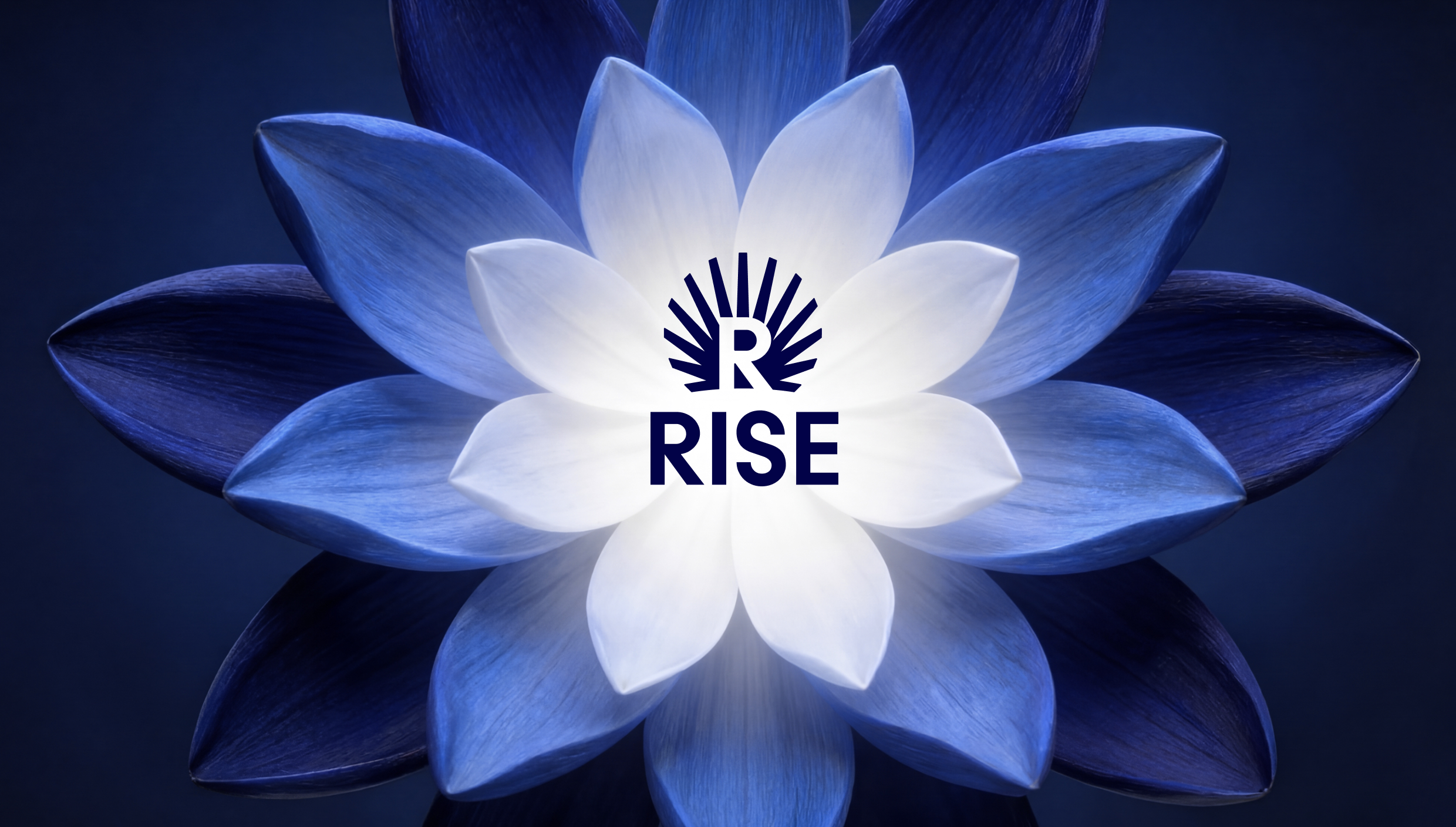 rise_key-visual_1