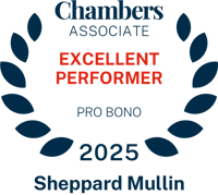 2025 Chambers Pro Bono