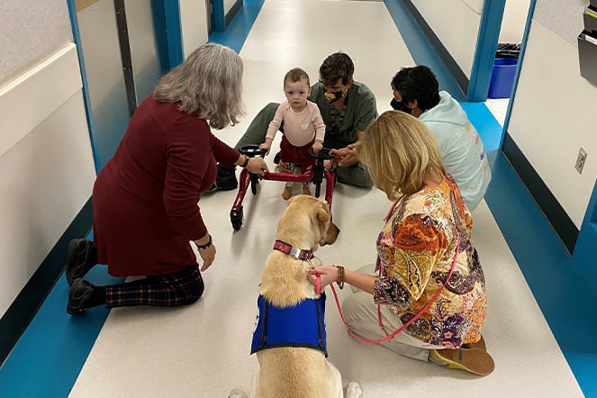 a young child with a walker surrounded by smiling adults and a therapy dog