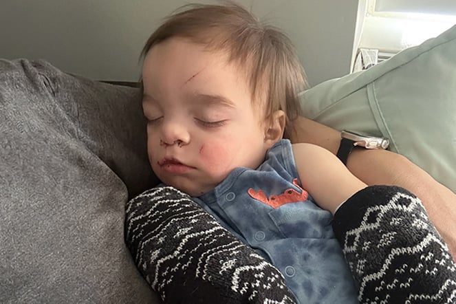 an infant takes a nap