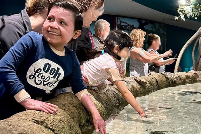 a row of adults and children at an aquarium touch tank