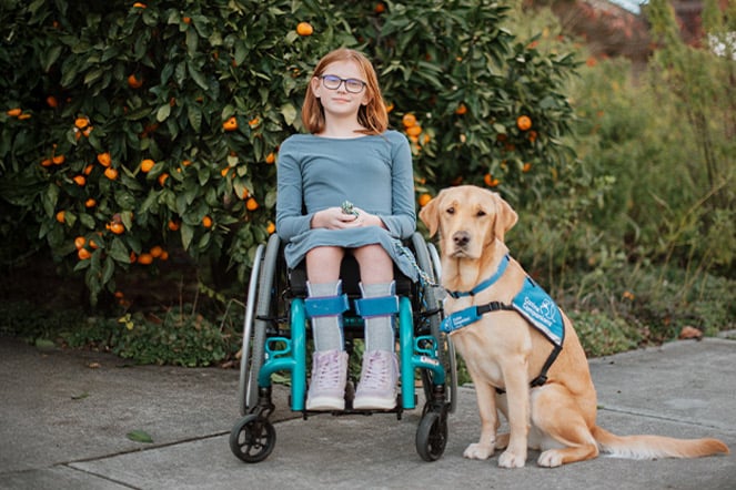 a child in a wheelchair sitting with a dog in front of an orange tree