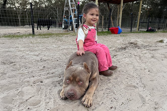 a child sitting with a large dog on a farm