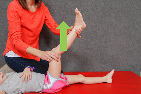 ellipse hamstring stretch