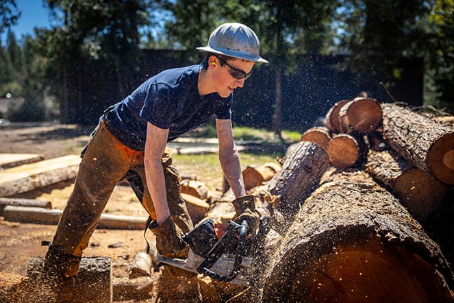 Daniel cutting a log with a chainsaw
