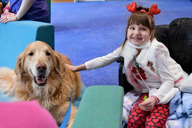 karolina with a therapy dog