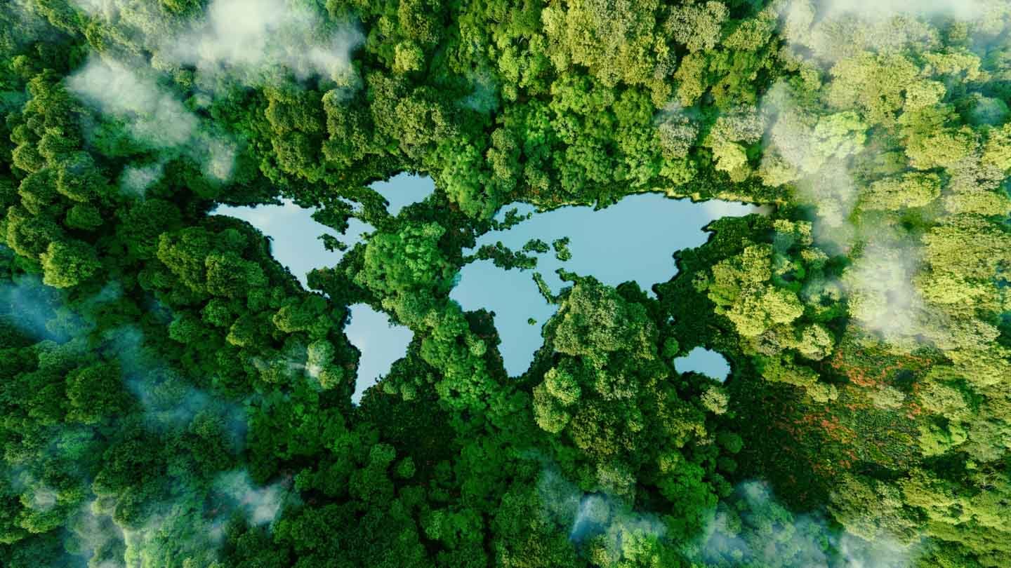 world map fixed onto green forest background