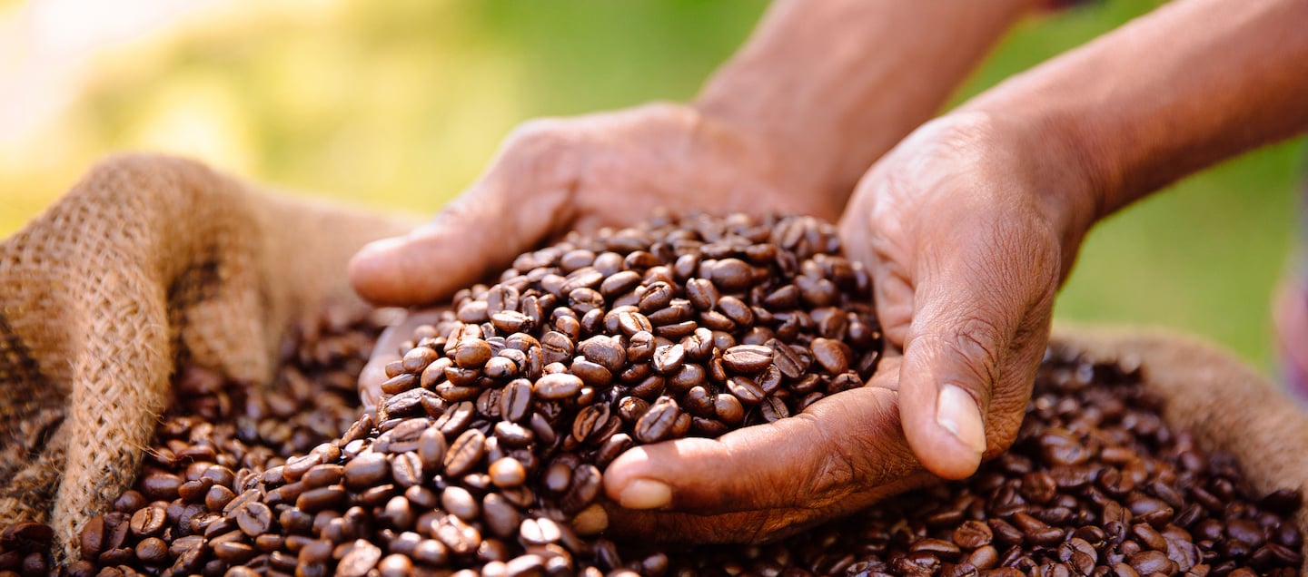 Holding Coffee Beans in Hands 