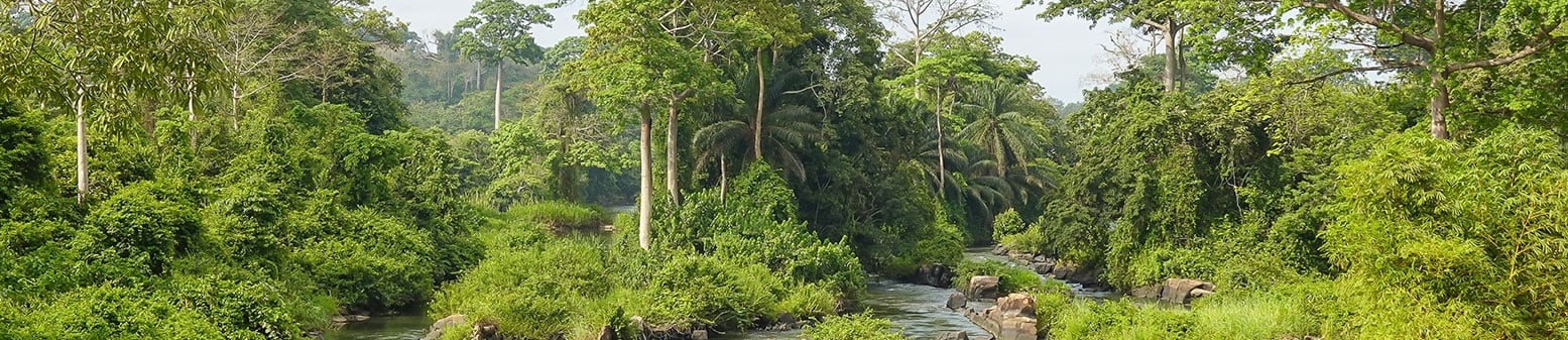 Picture of a landscape in Ivory Coast