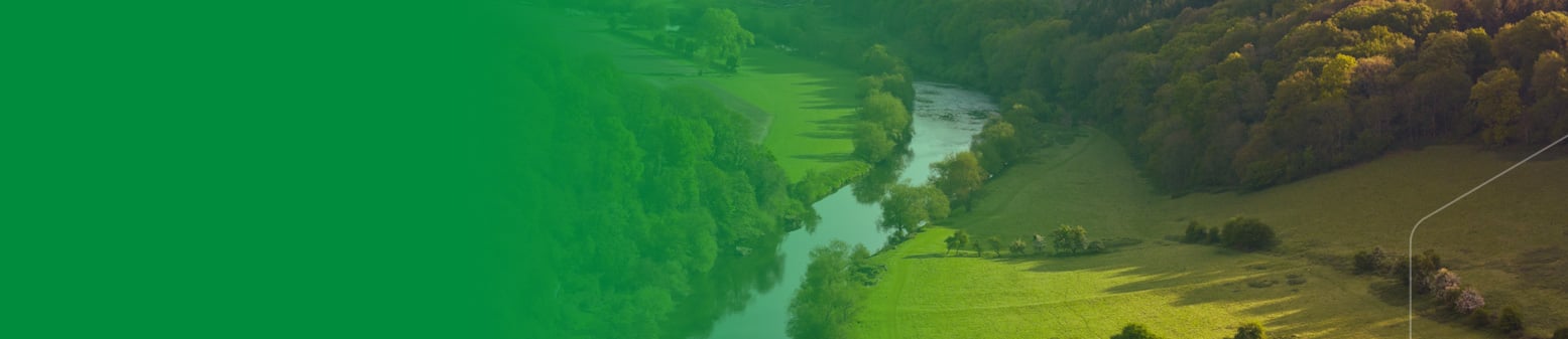 Green landscape with a river and a forest