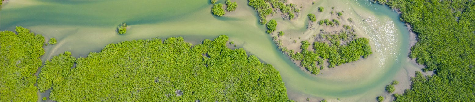 LuxSE and West-African regional exchange BRVM join forces on sustainable finance