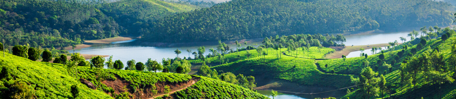 Sustainable Finance Education in India
