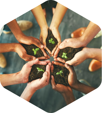 People placing hands with seeds together in a circle