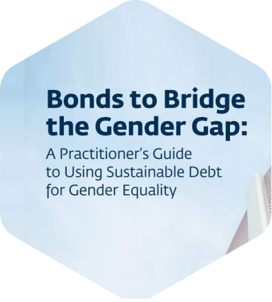 Practitioners Guide to Using Sustainable Debt for Gender Equality
