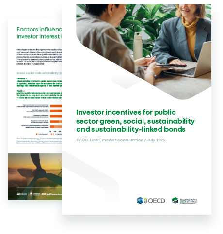 Cover of the OECD-LuxSE market consultation (July 2026)