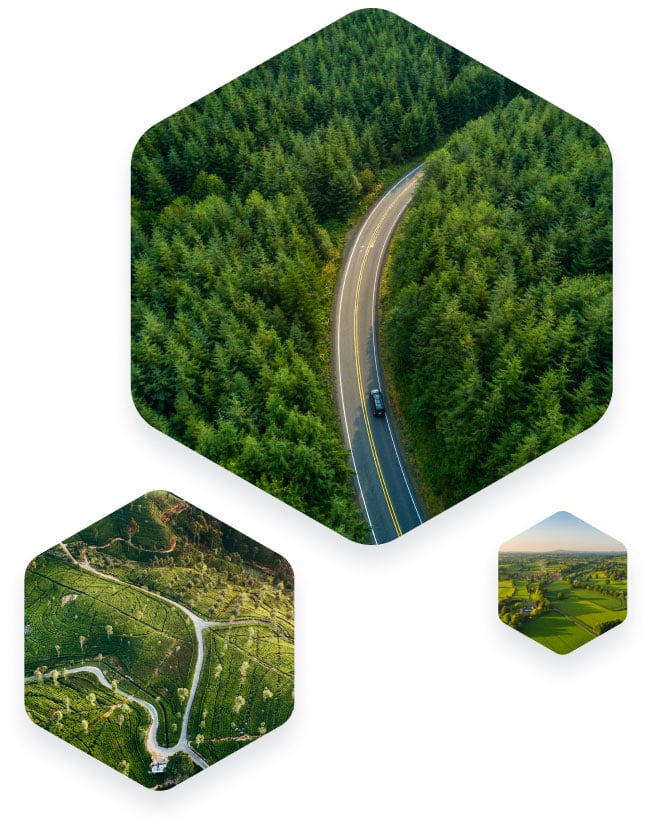 Three hexagons with nature images