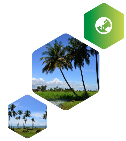 Picture of a Ivory Coast landscape