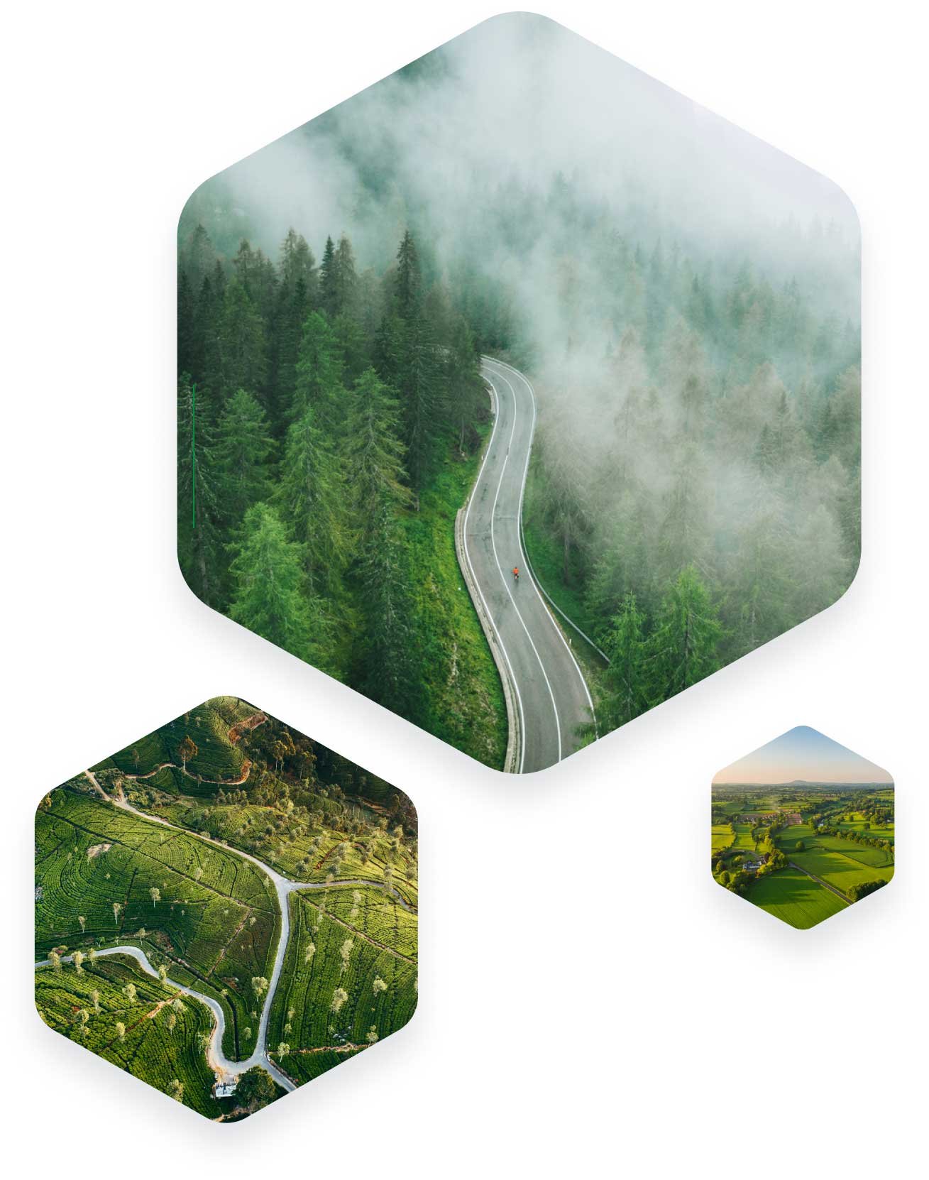 Green landscape