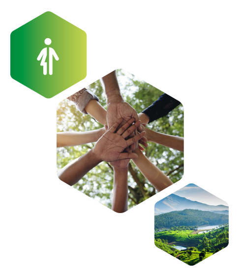 Three hexagons illustrating gender equality