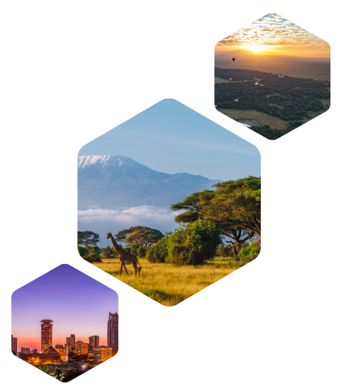 Other capacity building Kenya