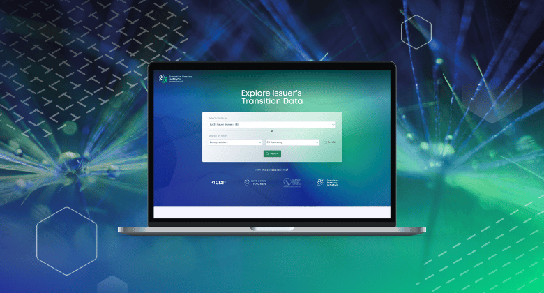 Screen shot of the Transition Finance Gateway
