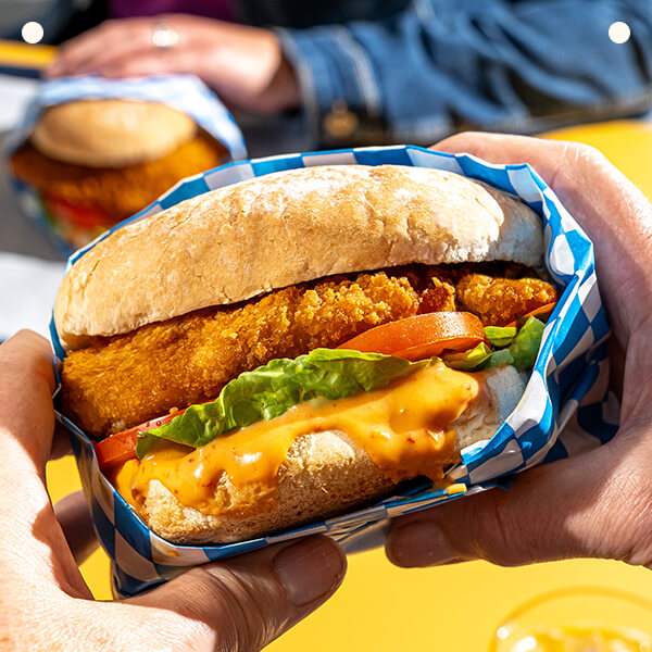 A chicken sandwich accompanied by crispy fries
