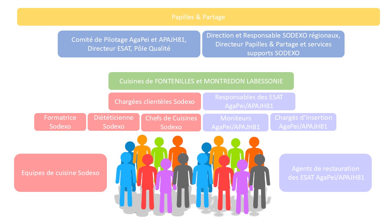 Présentation équipes Papilles
