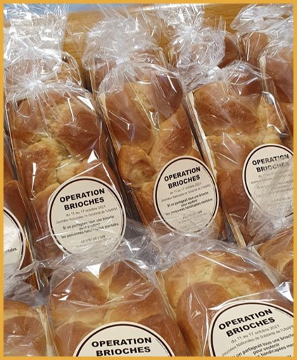 operation-brioche