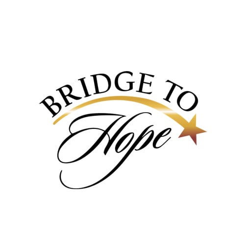 Logo reading “Bridge to Hope” with a gold swoosh and star above the word “Hope.”