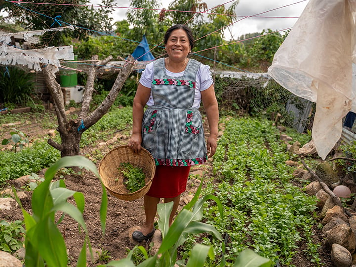 Empowering Indigenous Women in Guatemala