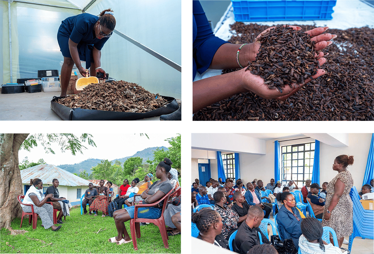 Women-for-zero-hunger-program-winner-2025-viddah-afri-core