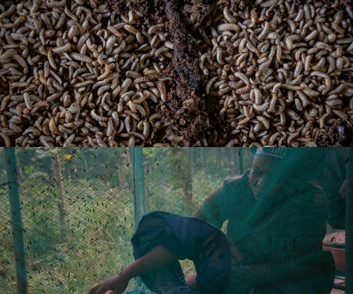 stop-hunger-Accompagner les femmes agricultrices