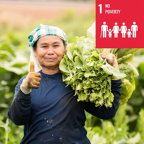 UN-SDGs-Stop-Hunger4