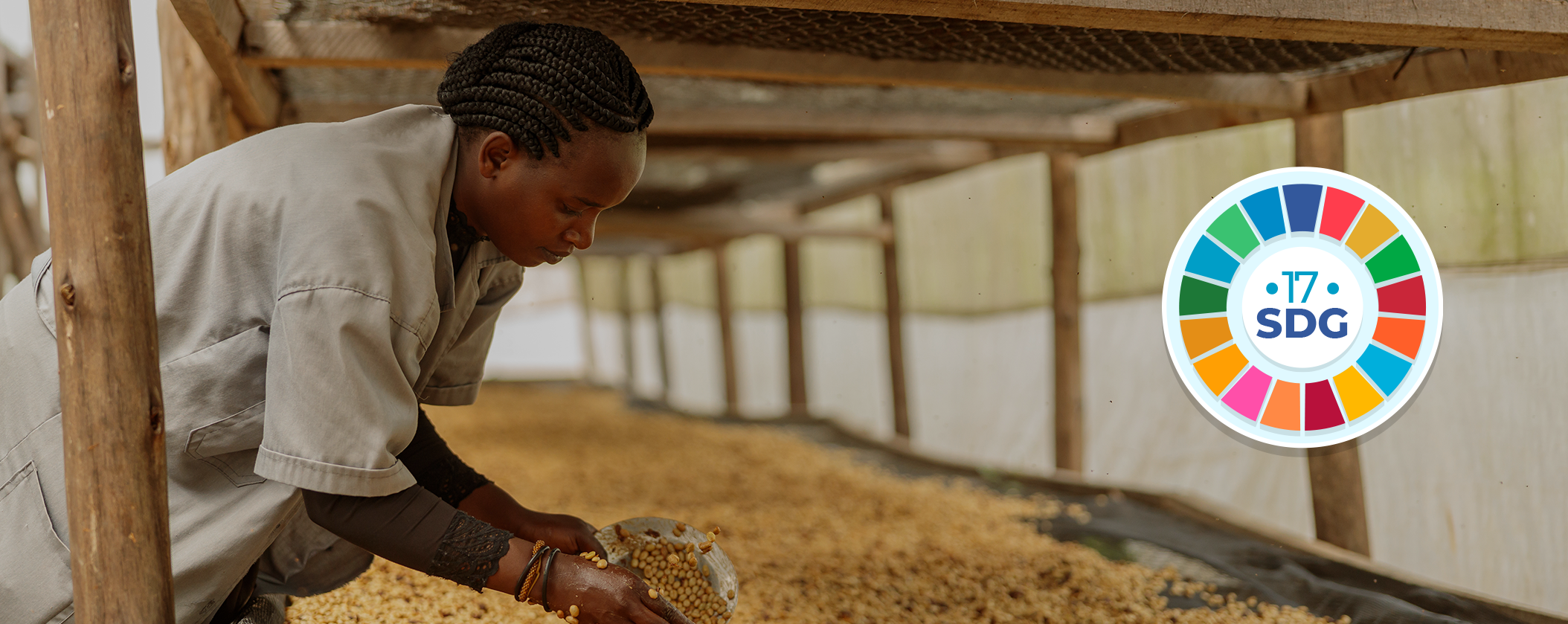 un-sdgs-stop-hunger