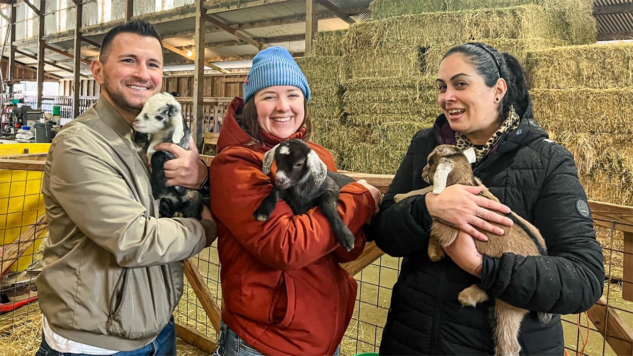 3 people holding baby goats