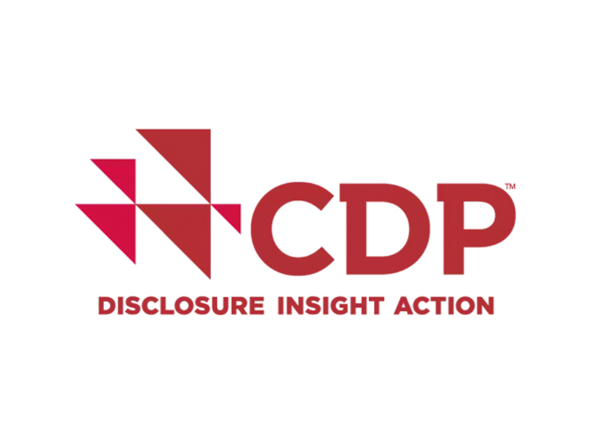 disclosure insight action logo