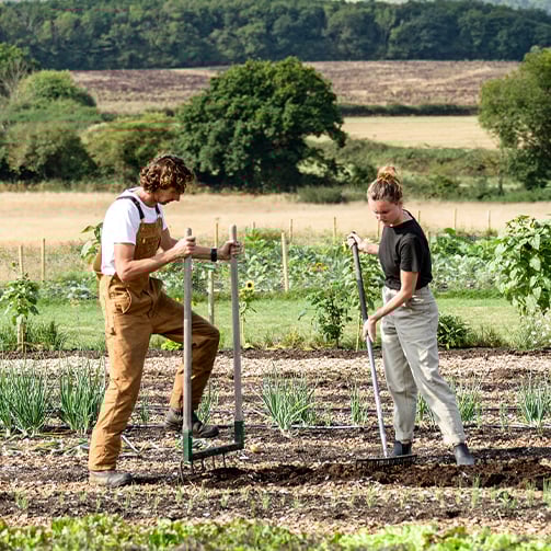 Two individuals working in a garden or farm field, using tools to tend to rows of plants, including onions or leeks, with a scenic backdrop of hills and trees.