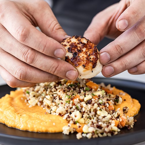 Hands plating a seared scallop with quinoa salad and hummus.