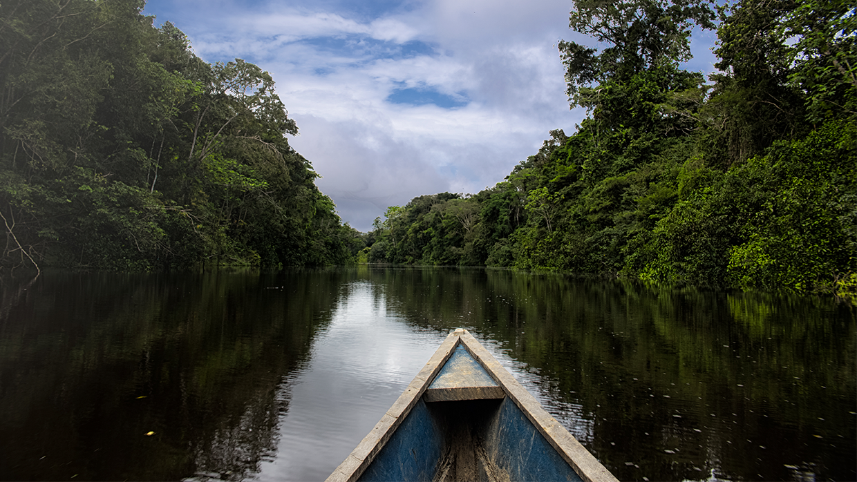 header-viagem-a-amazonia