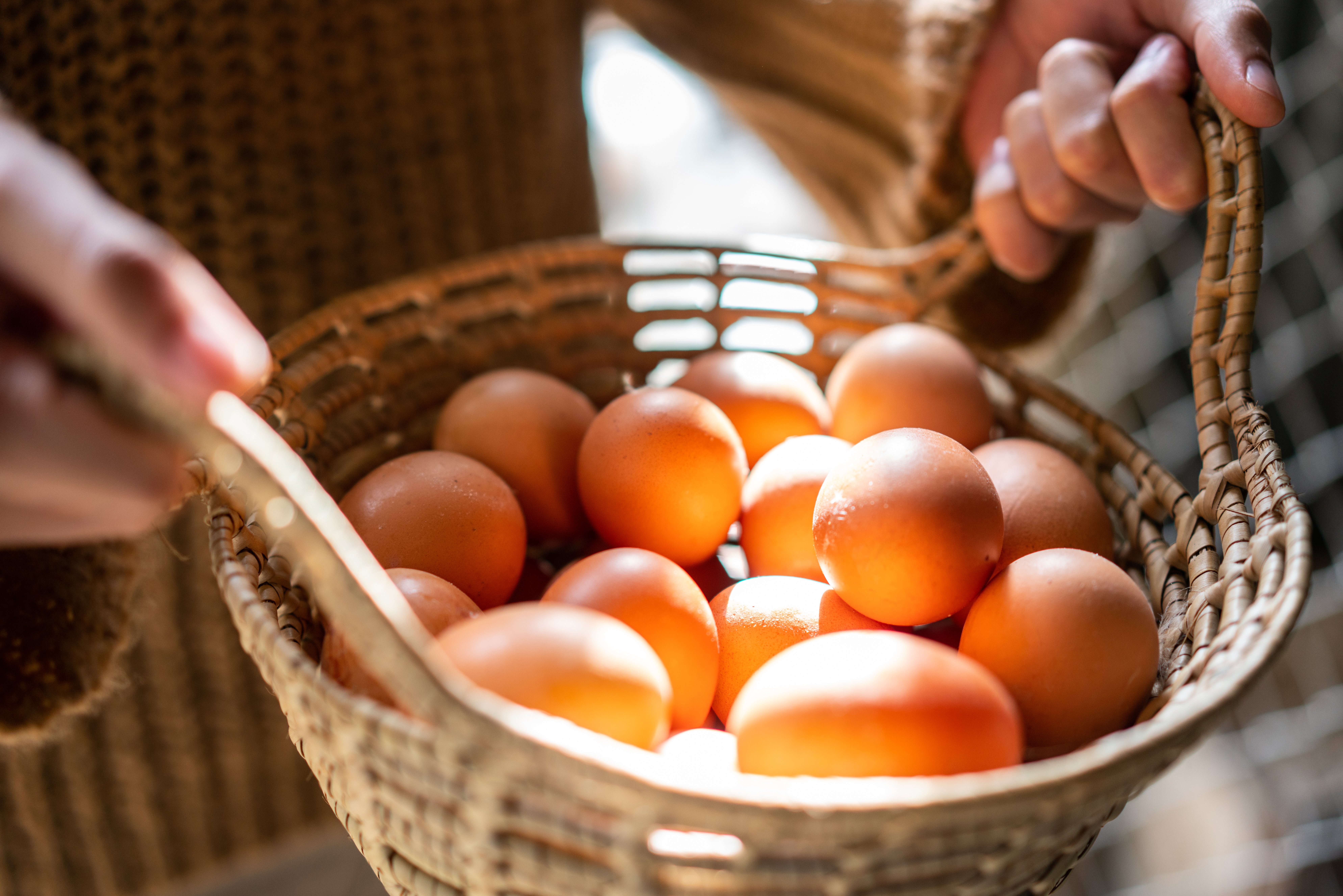Ovos cage free