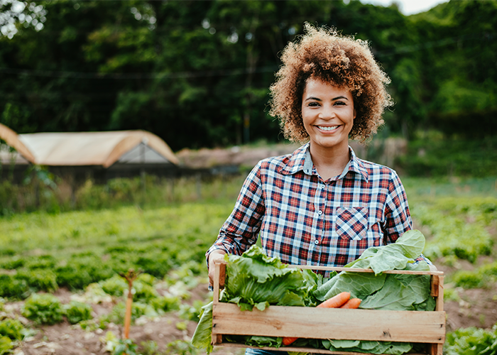 alimentos-locais-e-sustentaveis