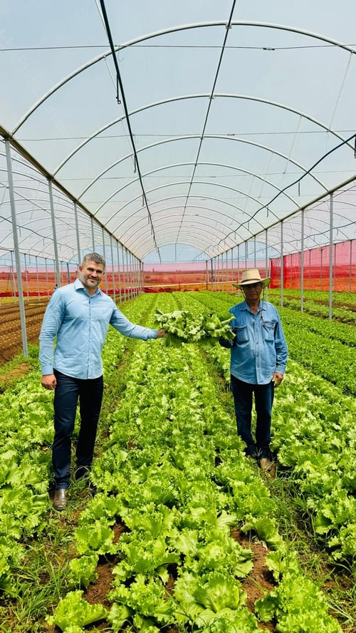 Duas pessoas em uma estufa de cultivo de hortaliças. O homem à esquerda, vestindo camisa azul clara e calça escura, segura um maço de alface junto ao agricultor à direita, que usa chapéu de palha, camisa azul e calça jeans. 