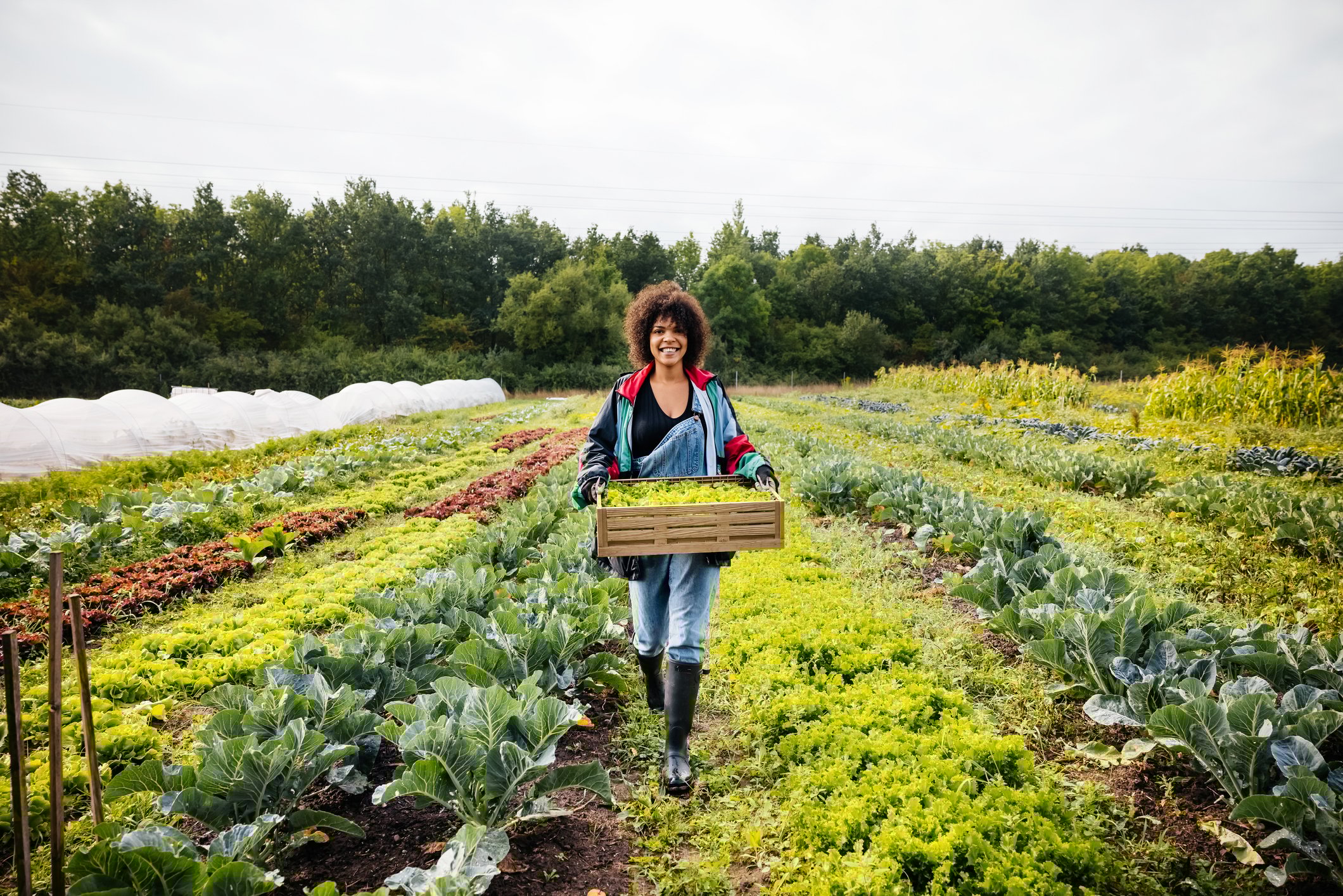 Gestão de Agricultores