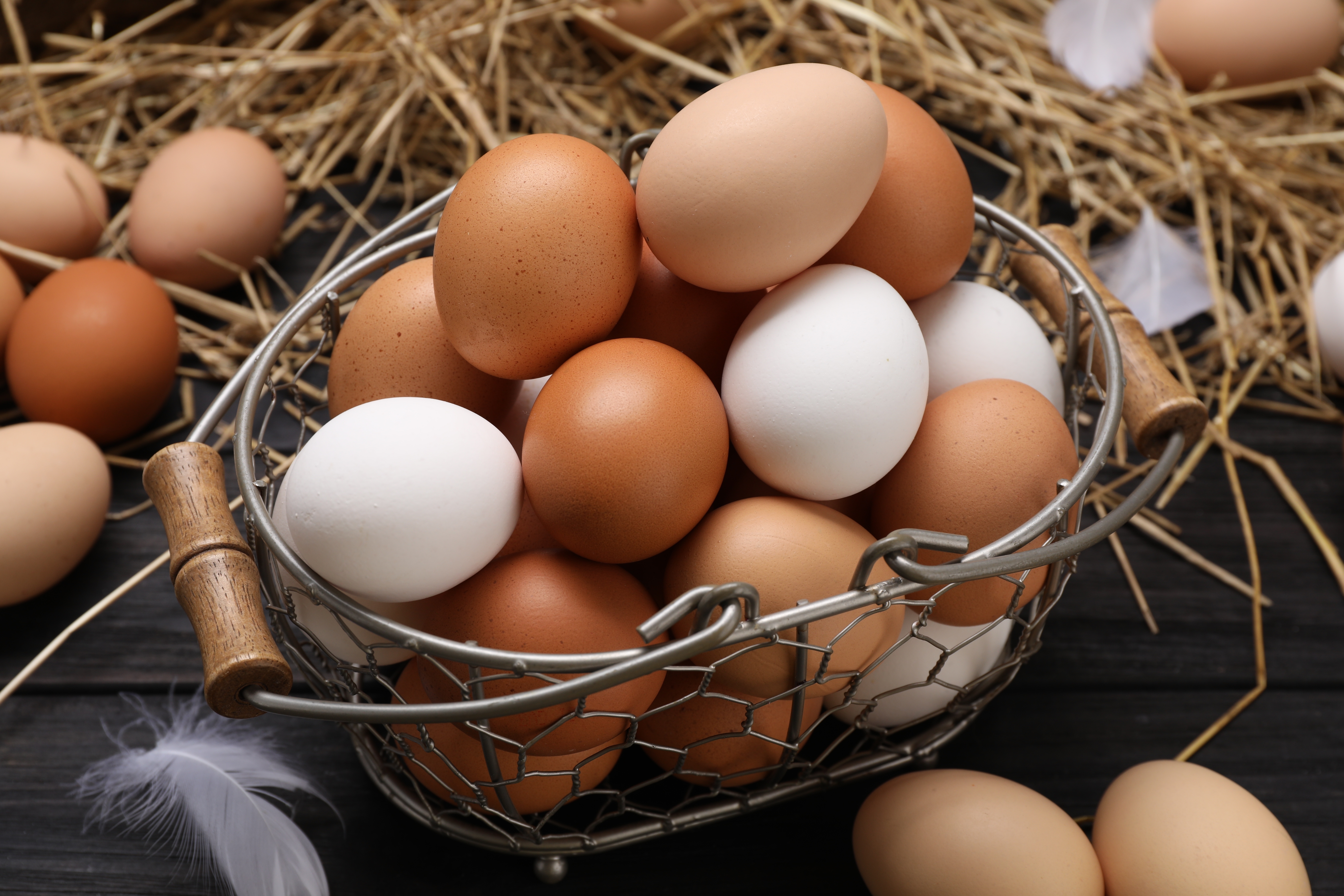 shutterstock_2463212355