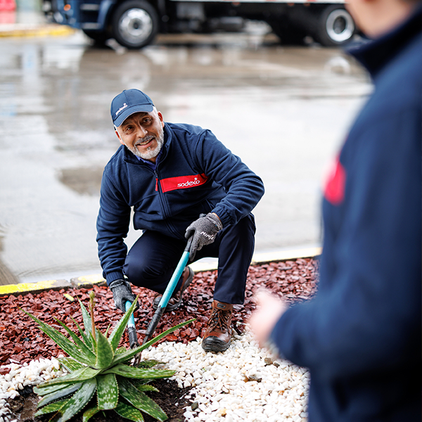 serviços de facilities para areas verdes