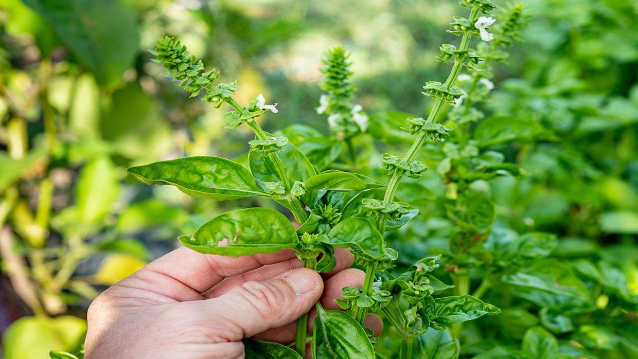 AdobeStock_214584821 copy