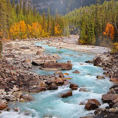 Land Acknowledgment_Updated